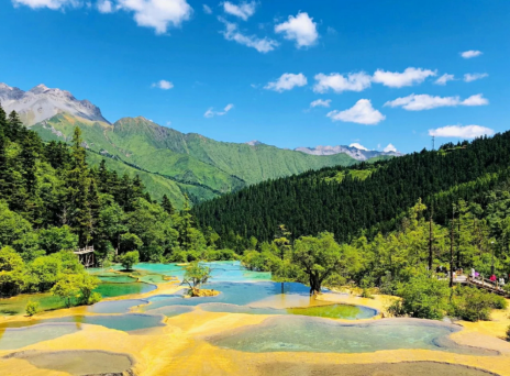 成都旅游个人行_去成都旅行社_成都旅行社一日游价格