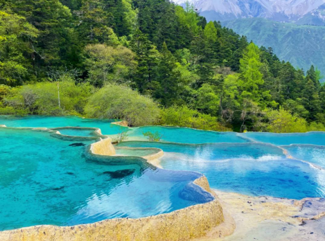 去成都旅行社_成都旅游个人行_成都旅行社一日游价格