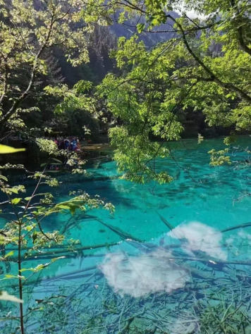 成都旅游个人行_成都旅行社一日游价格_去成都旅行社