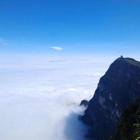 去成都旅行社_成都旅游个人行_成都旅行社一日游价格