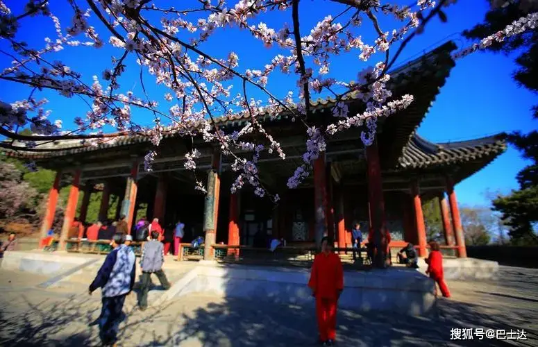颐和园特色旅游景点_颐和园景区特色_颐和园旅游的特色