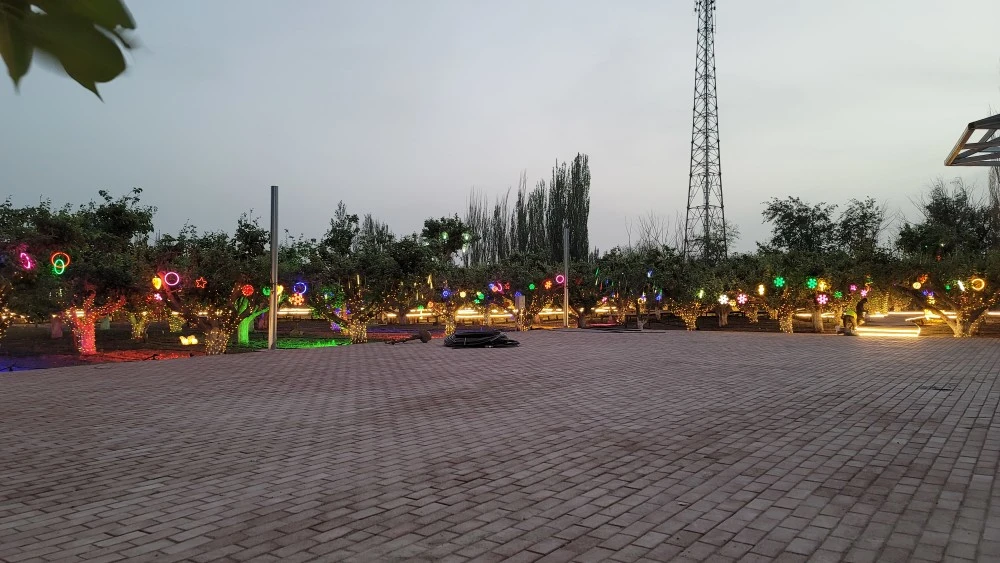 鲜明乡村特色旅游产业_特色乡村旅游项目_特色鲜明乡村旅游