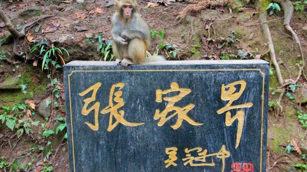 武陵源旅游特色_武陵源著名景点_武陵源景区特色