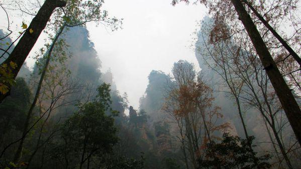 武陵源著名景点_武陵源景区特色_武陵源旅游特色
