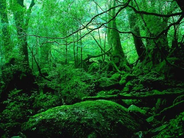 日本旅游短片_日本旅游特色电影_电影特色旅游日本演员