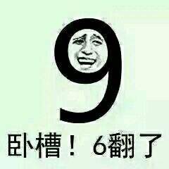 蛙游app_蛙儿子旅游装备_蛙蛙旅游