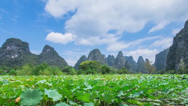 广西桂林情侣旅游_桂林适合情侣去吗_桂林情侣