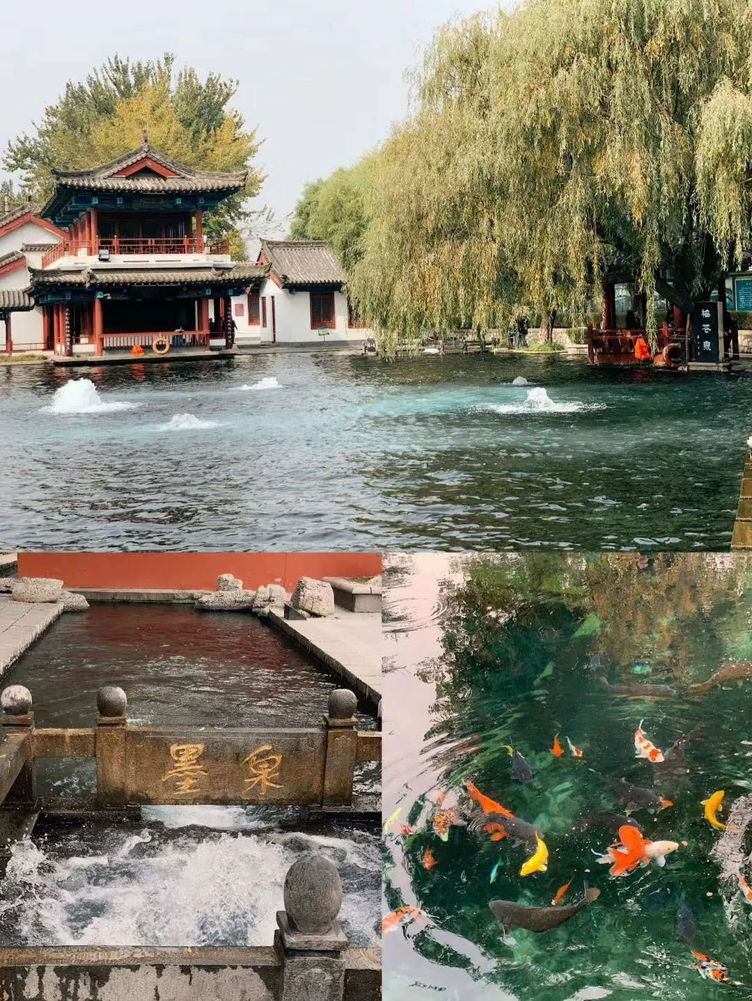 济南季节旅游适合去哪里玩_济南季节旅游适合去的地方_济南适合哪个季节去旅游