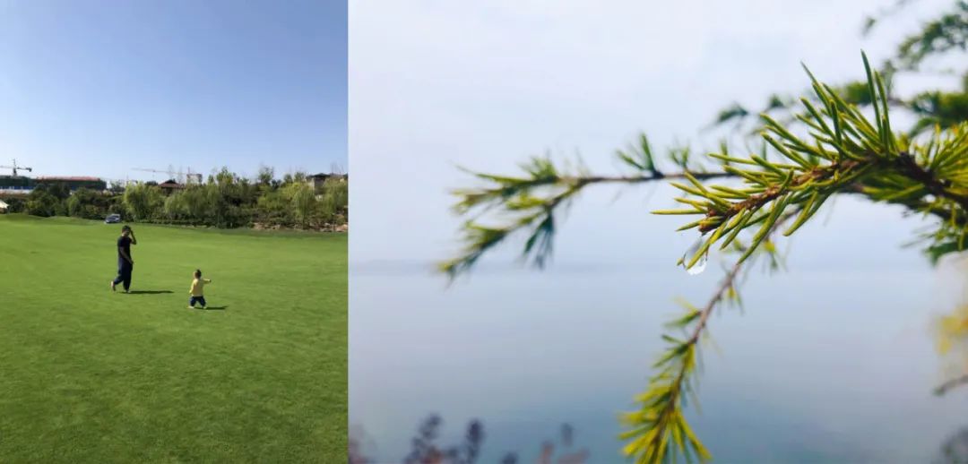 济南季节旅游适合去哪里玩_济南适合哪个季节去旅游_济南季节旅游适合去的地方