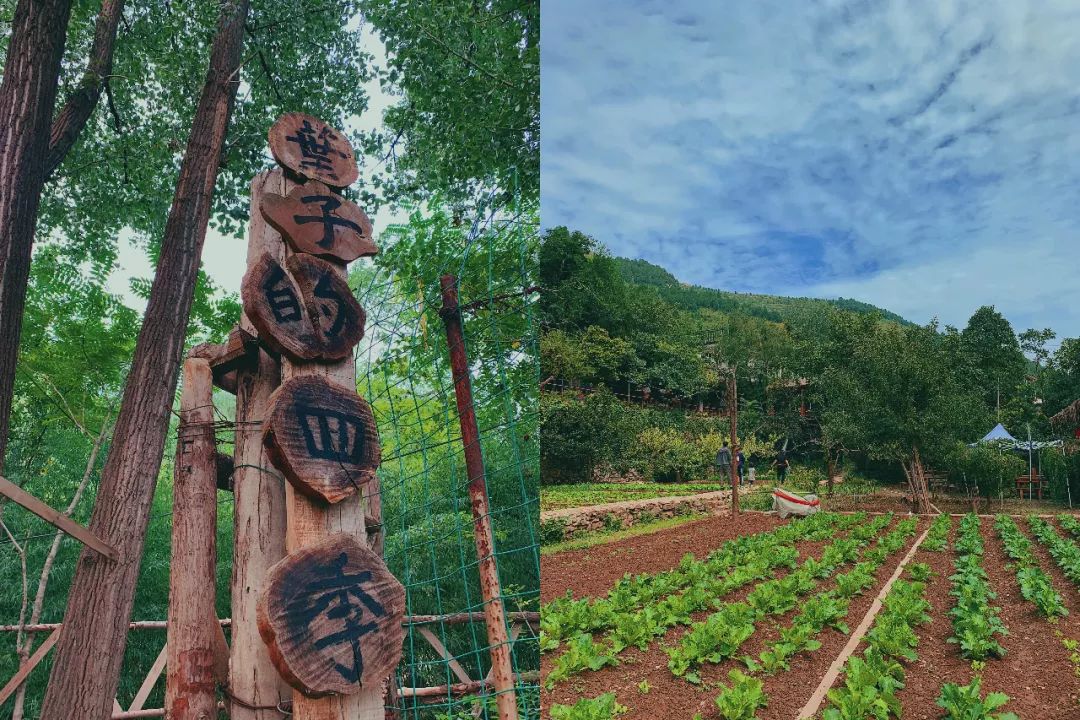 济南季节旅游适合去的地方_济南季节旅游适合去哪里玩_济南适合哪个季节去旅游