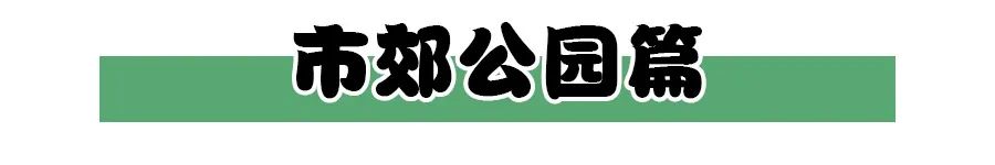 济南季节旅游适合去哪里玩_济南季节旅游适合去的地方_济南适合哪个季节去旅游