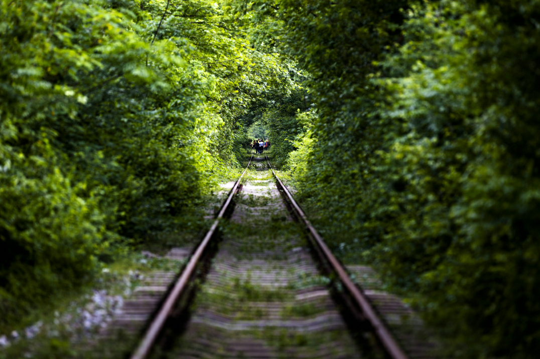情侣旅游适合几天_适合情侣去的旅游胜地一天_情侣旅游适合天堂的句子