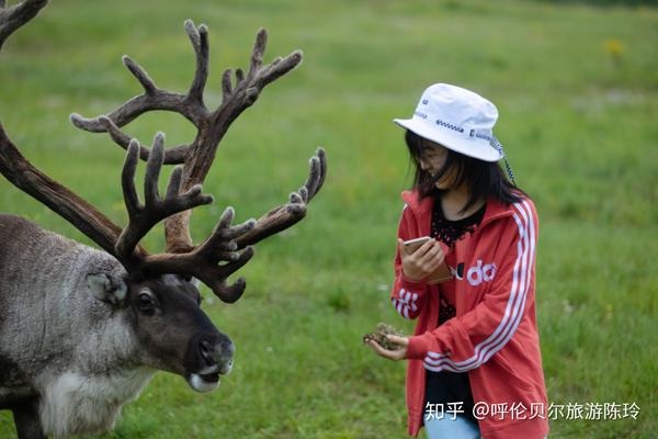 亲身体验的家庭旅游_旅游家庭体验式_旅游家庭体验心得体会