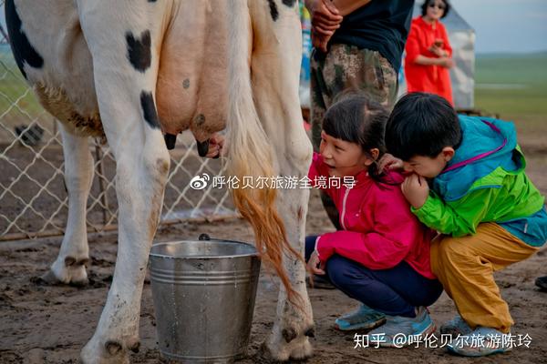 亲身体验的家庭旅游_旅游家庭体验式_旅游家庭体验心得体会