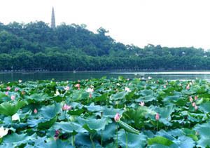 全球十大中国景点_全球景点库_全球景区