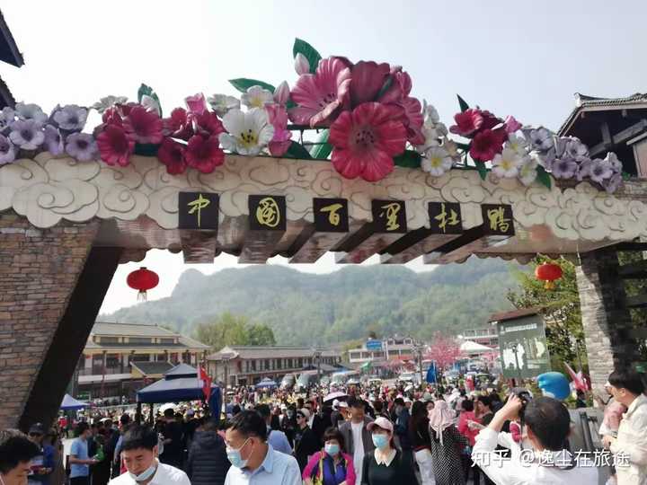 旅游改团队成个人要注意什么_旅游改团队成个人要多少钱_团队旅游要改成个人旅游吗