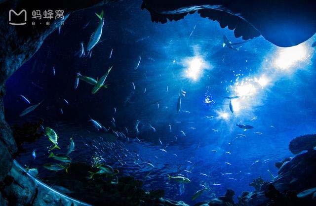 梦幻的景区_世界十大梦幻景点_全球十大梦幻景点之一