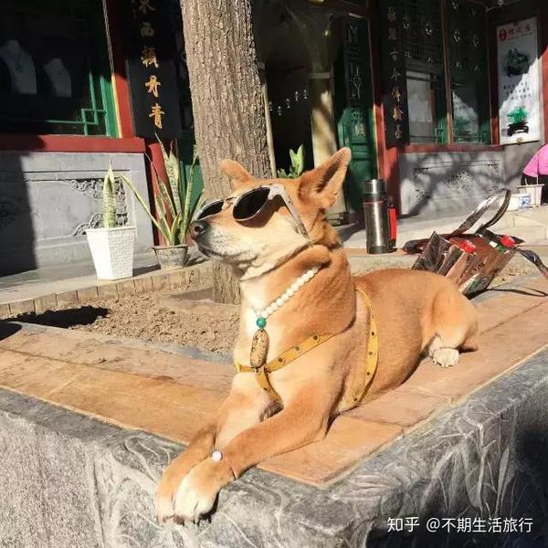故宫旅游团套路_故宫旅游团套路_故宫旅游团套路