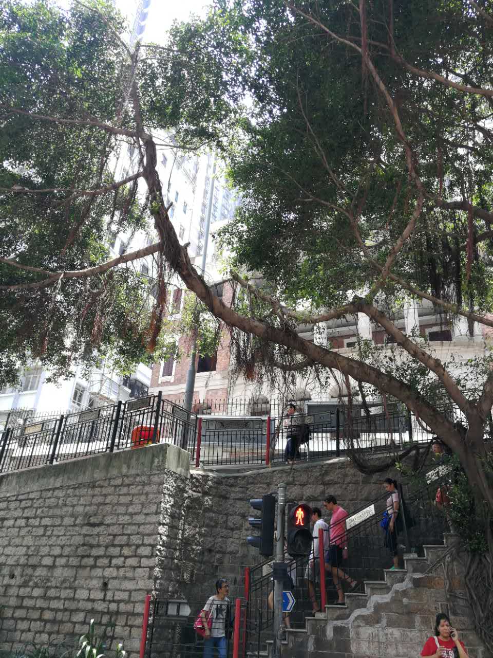 香港自由行全攻略书籍_游玩香港全攻略_香港自由游旅游攻略