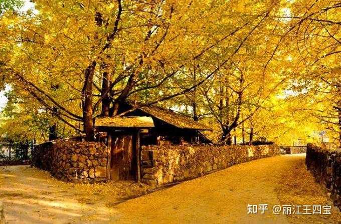 个人去云南旅游费用_个人云南旅游预算多少_到云南个人旅游
