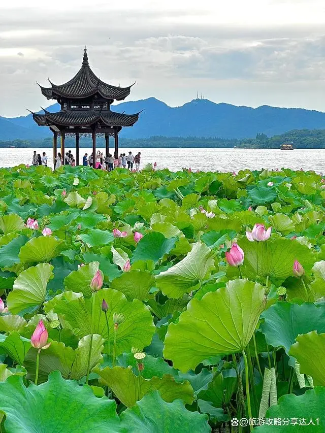 浙江乌镇哪个季节去旅游最好_杭州乌镇最佳旅游时间_杭州乌镇旅游最佳季节