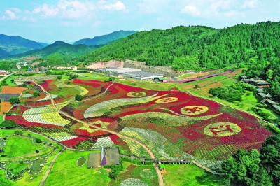 调研旅游产业发展_旅游产业调研新闻_新闻调研旅游产业发展现状