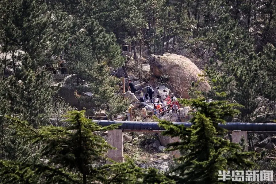 崂山有什么特色_崂山旅游特色_崂山旅游介绍