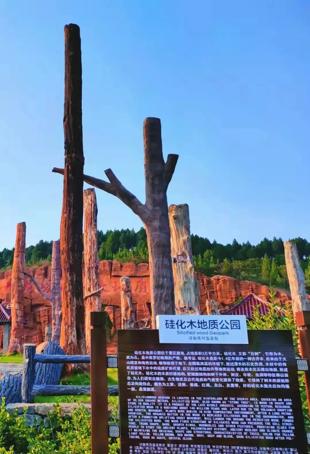 山东网红打卡旅游景点_山东旅游打卡地_山东省网红旅游景点