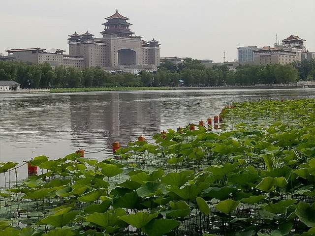 山东网红景点排名前十_山东省网红景点_山东网红打卡旅游景点