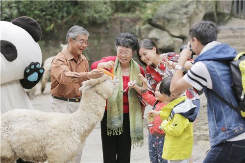 家庭不同成员旅游_成员旅游家庭调查报告_成员旅游家庭有哪些