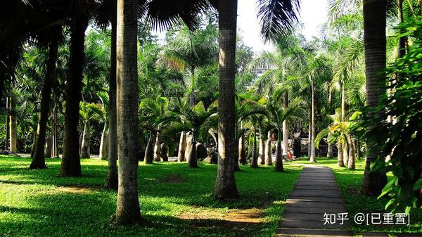 去版纳旅游线路_线路旅游版纳去哪里玩_线路旅游版纳去旅游攻略