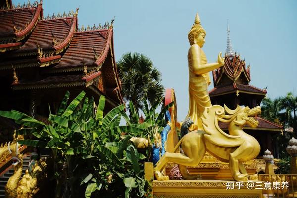 线路旅游版纳去哪里玩_去版纳旅游线路_线路旅游版纳去旅游攻略