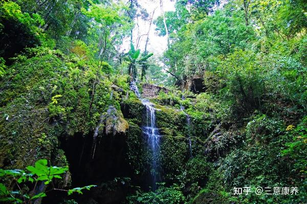 线路旅游版纳去哪里玩_线路旅游版纳去旅游攻略_去版纳旅游线路