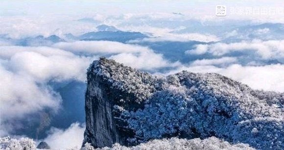 张家界旅游坑人套路有哪些_张家界旅游的套路有哪些_张家界旅游套路骗术