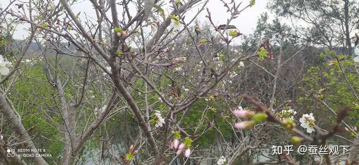 瑞安的特色景点_瑞安特色旅游景点介绍_瑞安旅游特色