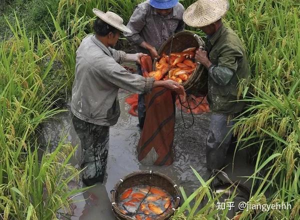 瑞安旅游特色_瑞安特色旅游景点介绍_瑞安特色旅游景点推荐