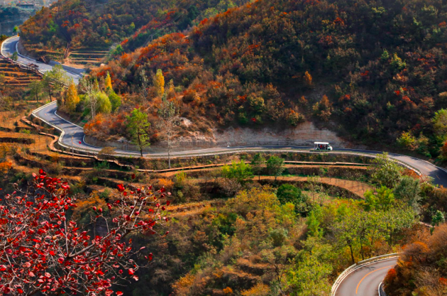 河南十一旅游新闻_河南旅游新闻最新头条报道_河南旅游新闻网