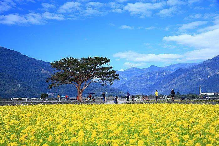 台湾旅游自由游路线_台湾旅游线路推荐_台湾自由行旅游攻略