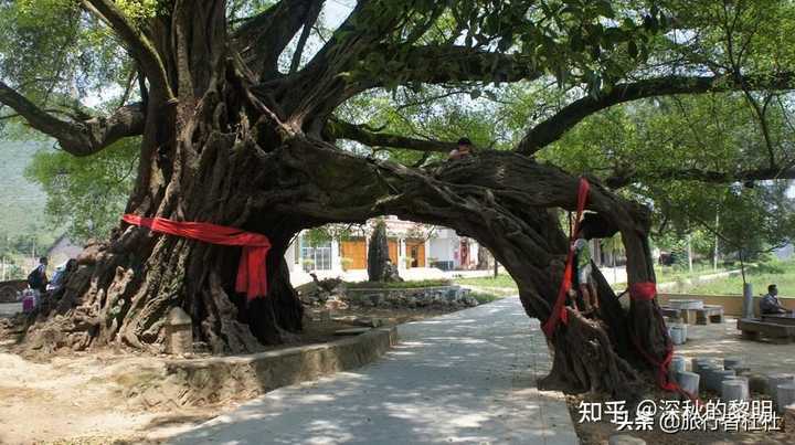 广西的旅游特色_广西民俗旅游_广西特色名族旅游