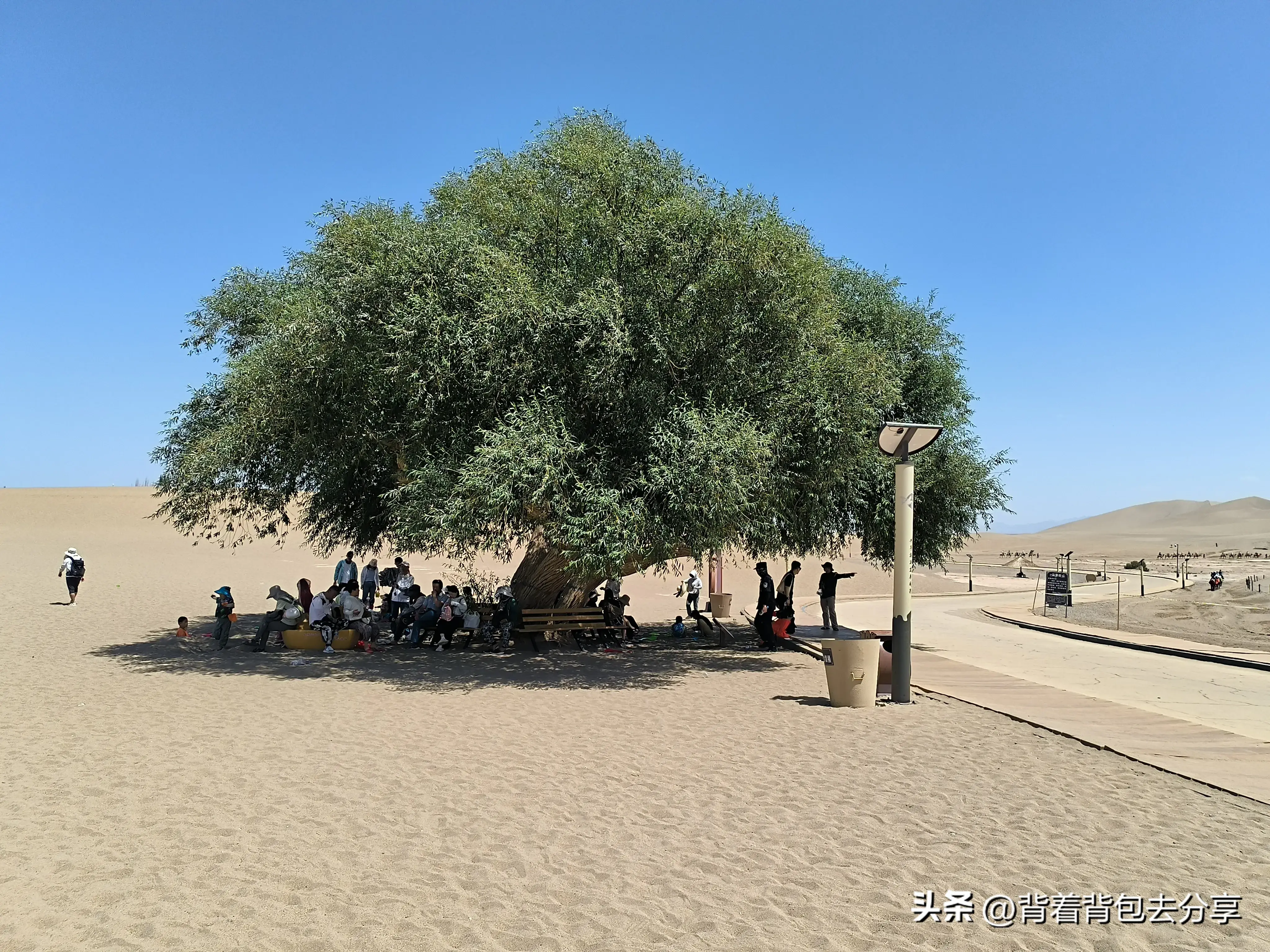 沙漠旅游最佳季节_沙漠季节最佳旅游地点_沙漠季节最佳旅游路线