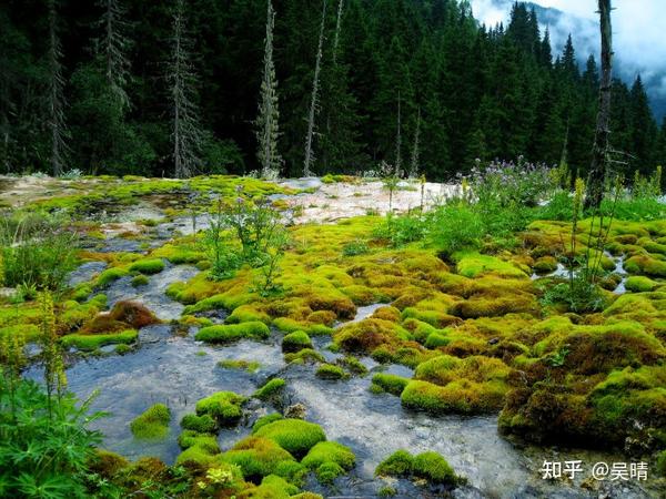 端午团旅游推荐去的地方_端午旅游去处_去端午旅游团推荐