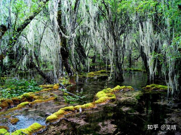 端午团旅游推荐去的地方_去端午旅游团推荐_端午旅游去处