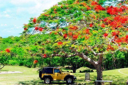 盘点最适合情侣旅行的10大胜地, 情人节选一个带她去吧!