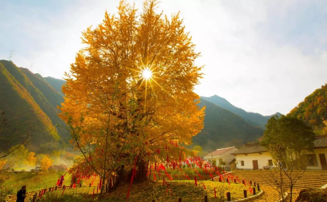 夏季留坝自驾游怎么走最美_留坝避暑的地方_留坝家庭旅游的地方