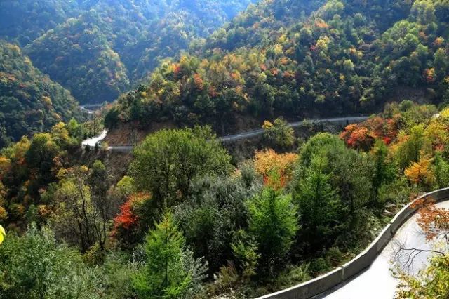 夏季留坝自驾游怎么走最美_留坝避暑的地方_留坝家庭旅游的地方