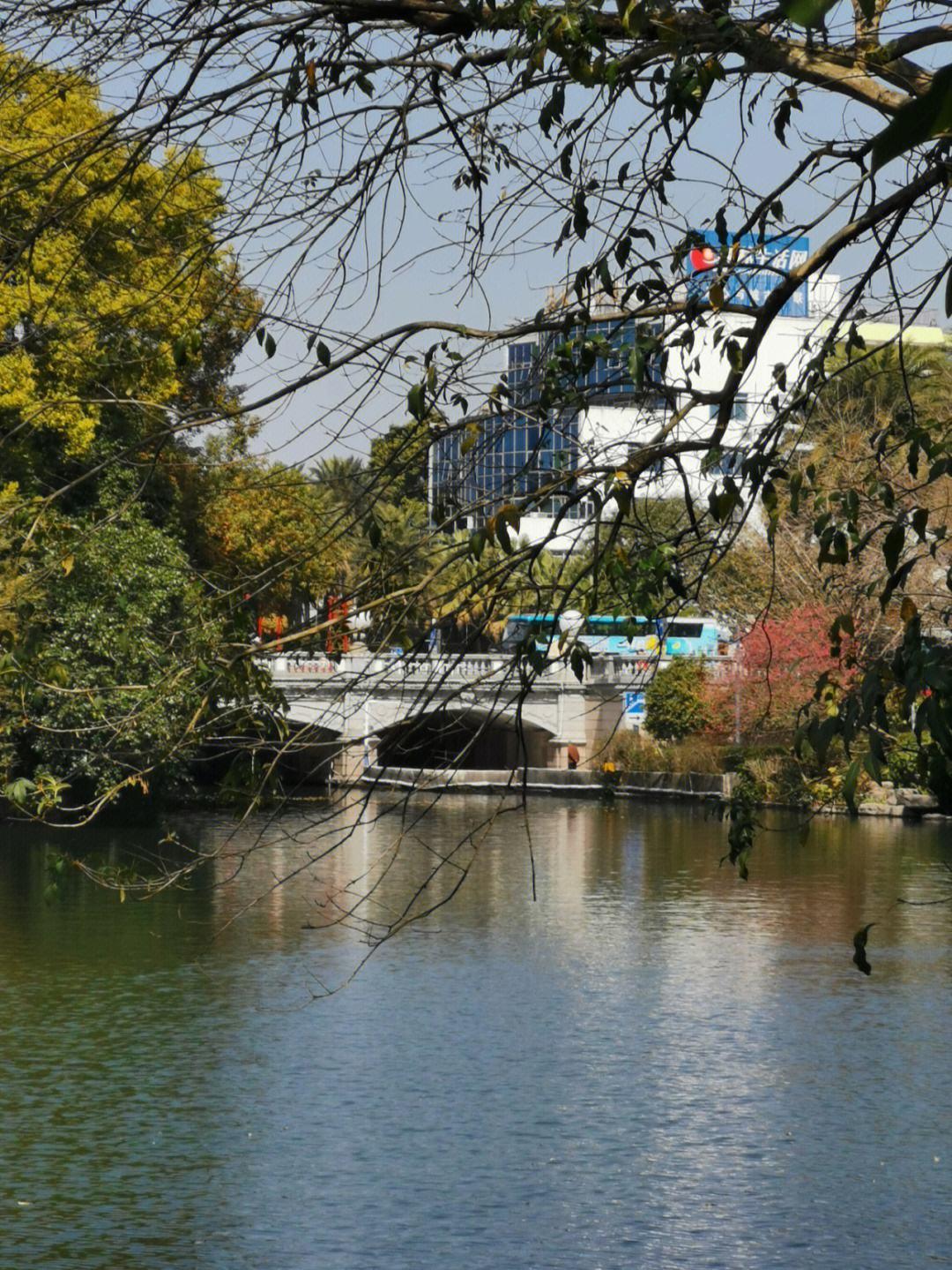 桂林季节旅游去哪里好玩_桂林旅游适合几月份去_去桂林旅游季节