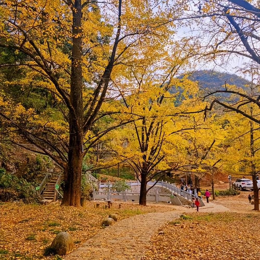 去桂林旅游季节_桂林季节旅游去哪里好玩_桂林旅游适合几月份去