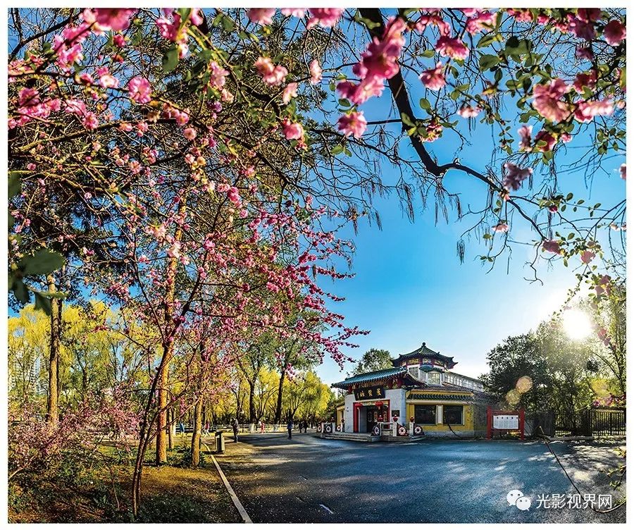 旅游客源国和目的地概况_我国旅游者的国际客源_七大国际旅游地区产生客源