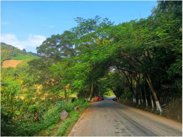 旅游公路建设新闻_新闻公路旅游建设方案_新闻公路旅游建设情况