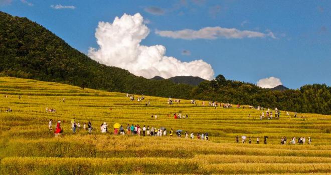 广东旅游线路报价_广东省内旅游报价_广东旅游资讯网